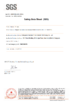 চীন Dongguan Youngteam New Material Technology Co., Ltd. সার্টিফিকেশন